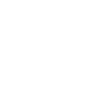 DisasterSmartBC logo